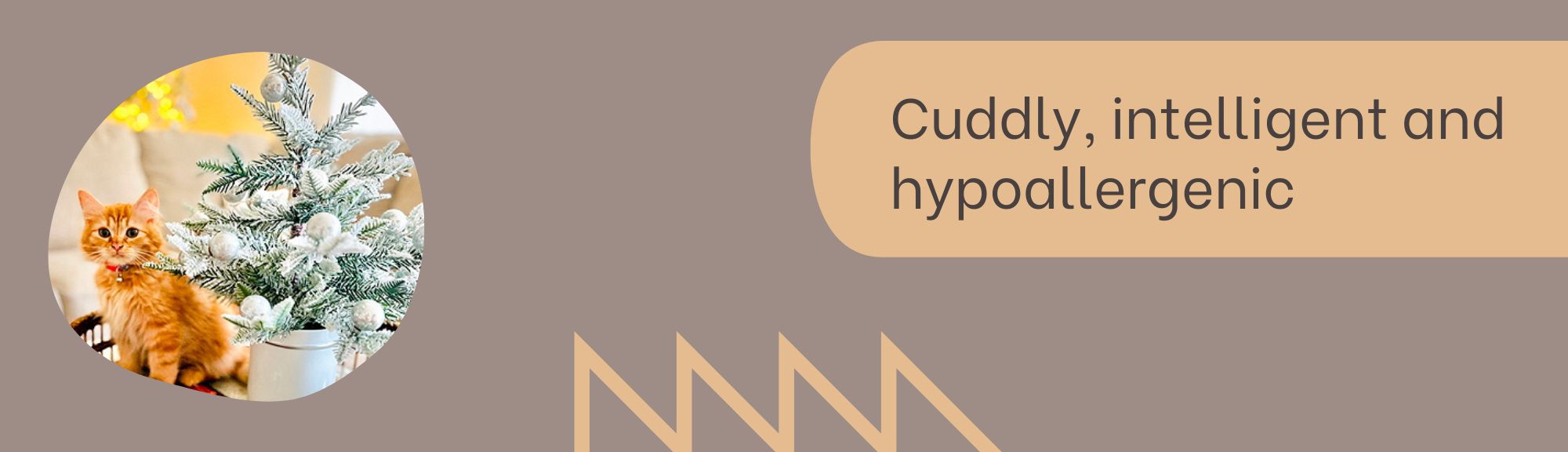carousel slide 2