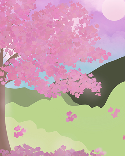 Cherry blossom field